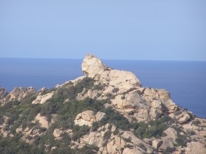 Sartène et son Lion De Roccapina