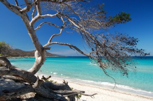 Plage de Saleccia dans les Agriates